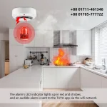 Tuya App Wifi smoke sensor price in bd